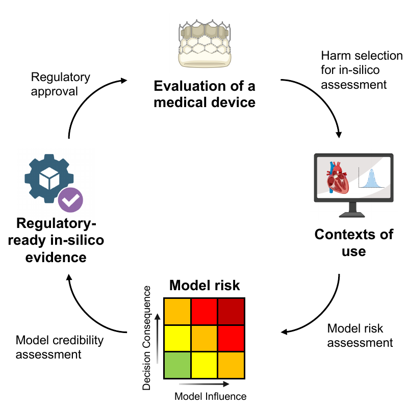 Risk-informed evaluation of medical devices: contexts of use, model risk, and regulatory-ready in-silico evidence